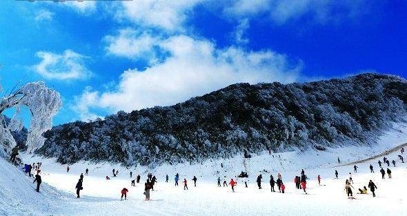 仙女山一日游