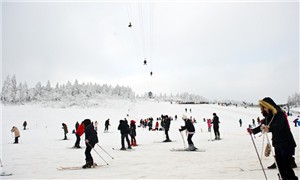重庆仙女山森林公园冬季滑雪1