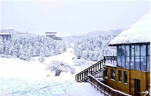 重庆仙女山森林公园冬季雪景2