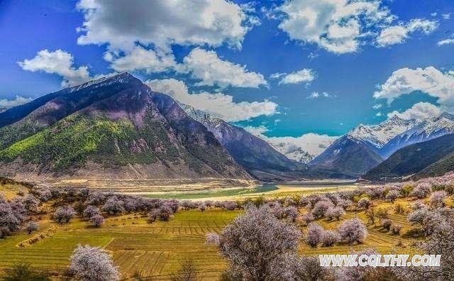 去西藏旅游的游客忍不住想洗澡，导游：多脏都不能洗